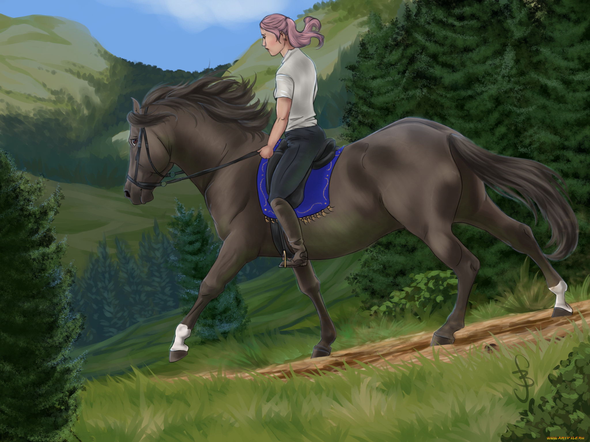 Транс наездник. Лошади в горах. Девочка на лошади арт.